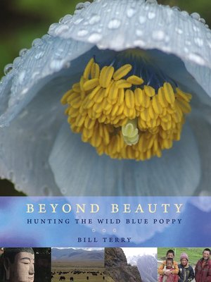 cover image of Beyond Beauty